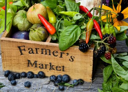 CANCELLED DUE TO SEVERE WEATHER – Palmyra Farmer’s Market